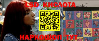 стафф Донской