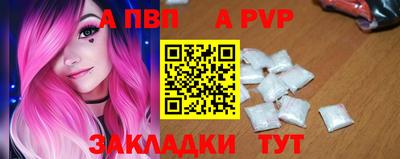 стафф Донской