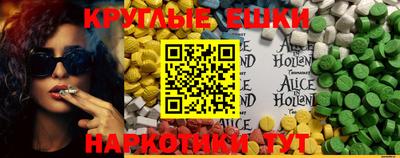 стафф Донской