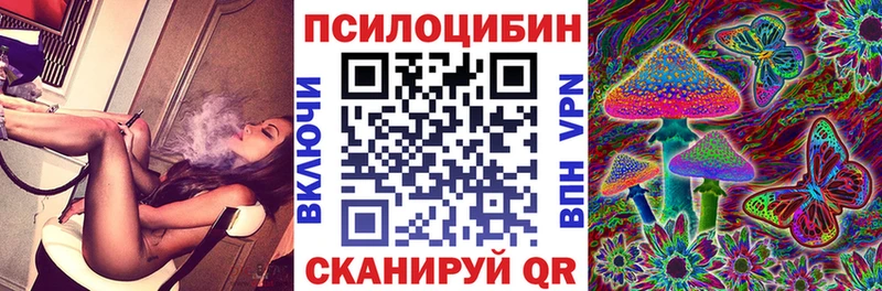 Псилоцибиновые грибы Psilocybine cubensis  Луховицы 
