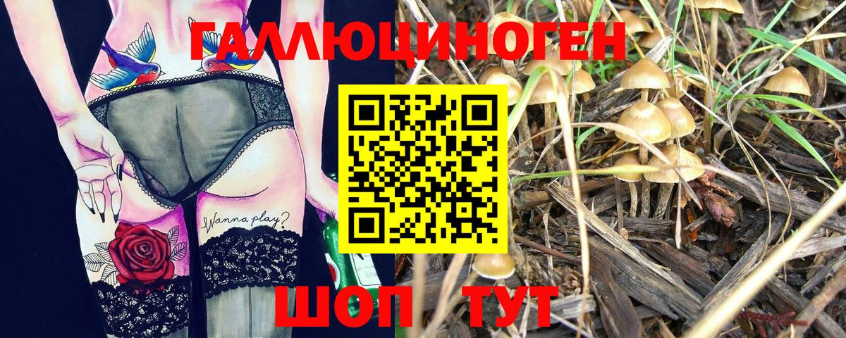 Псилоцибиновые грибы Magic Shrooms Луховицы